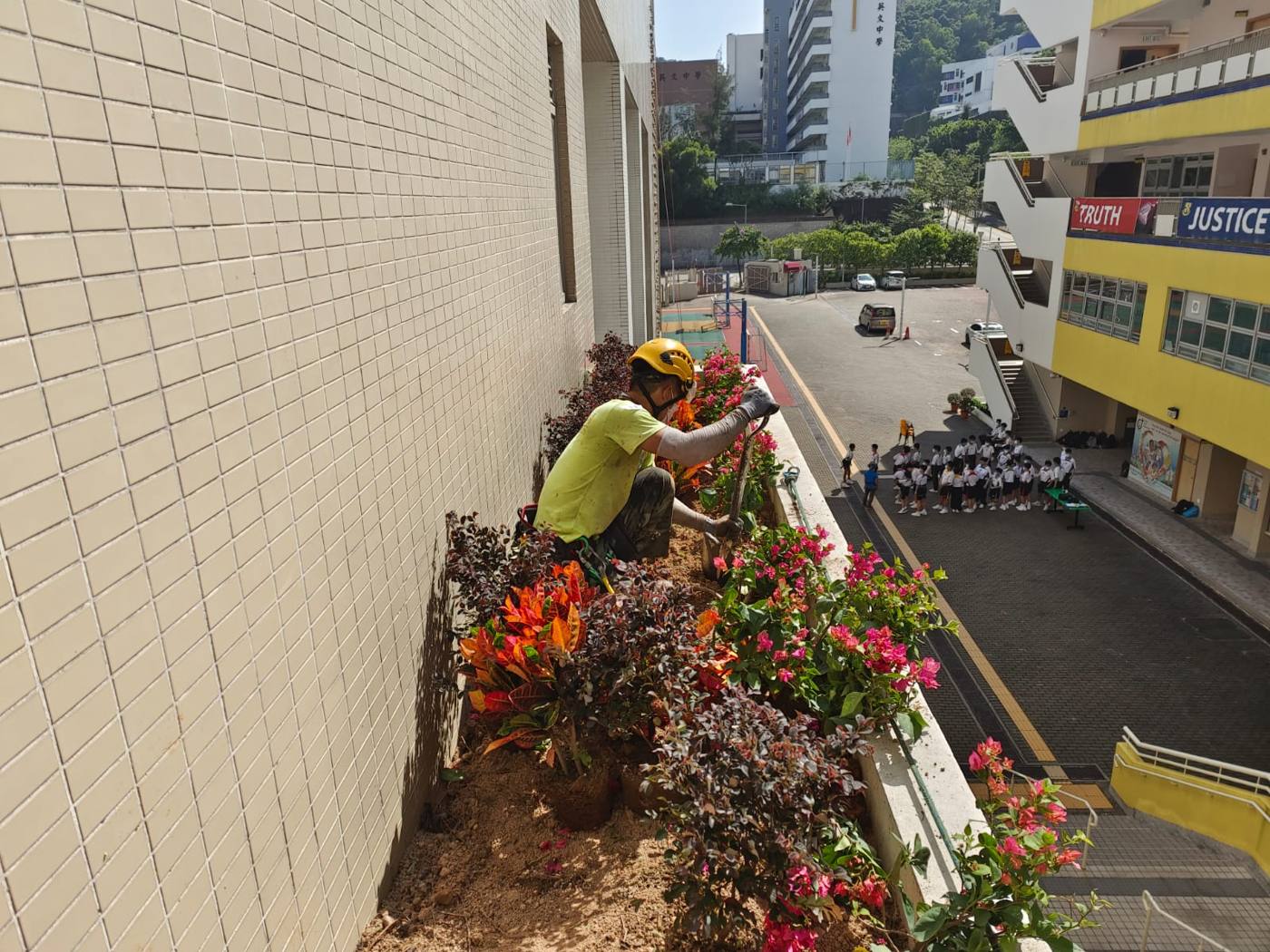 工作人員於高處花槽種植