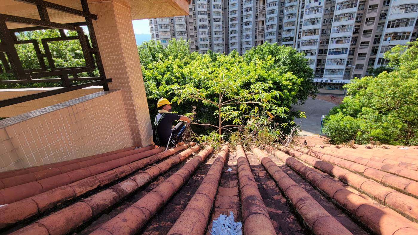 清理中的瓦面