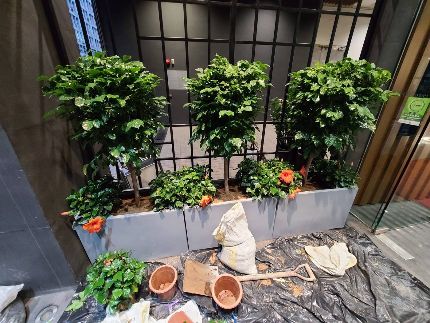 花盆布置進行中