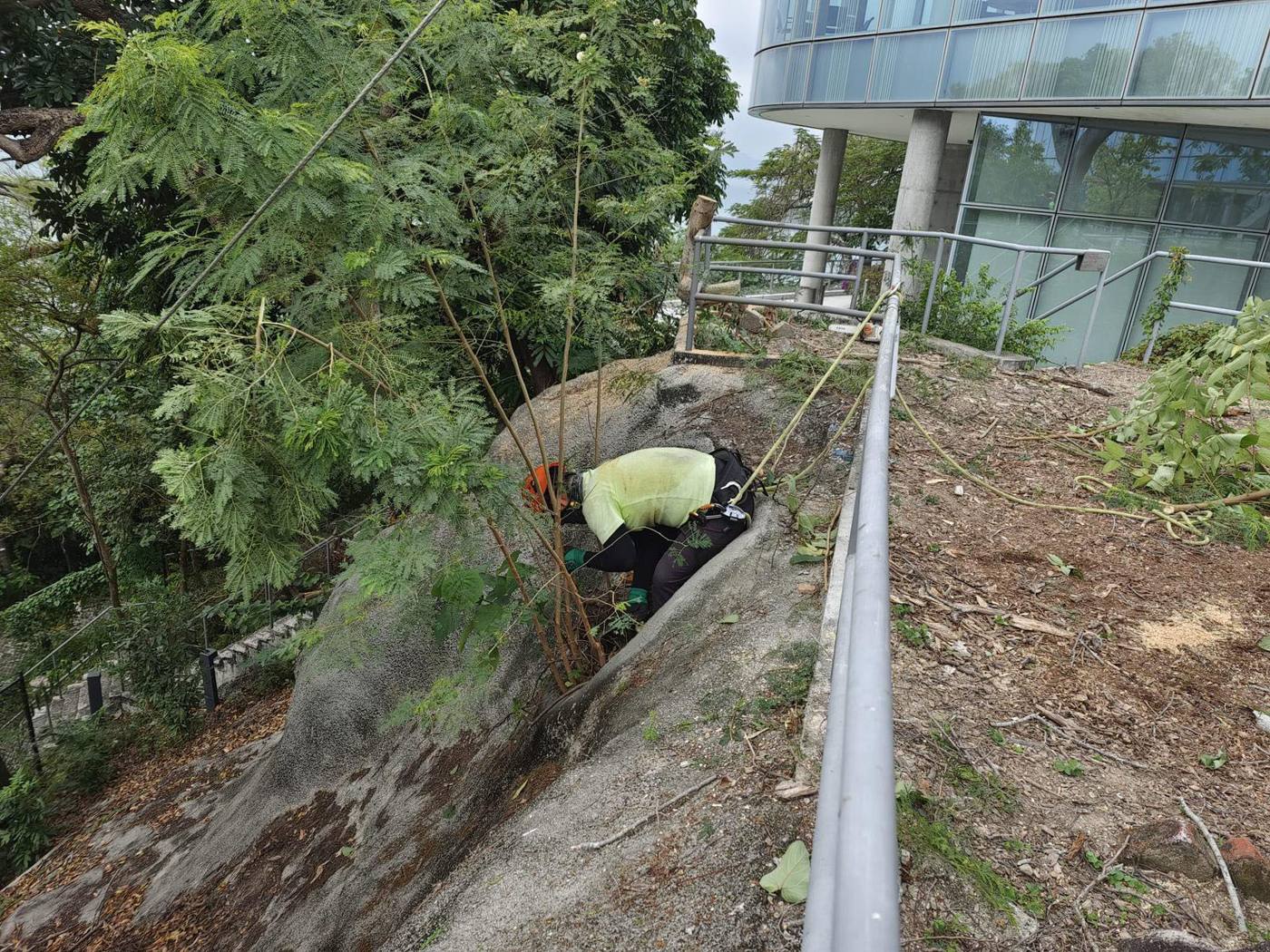 斜坡清理進行中