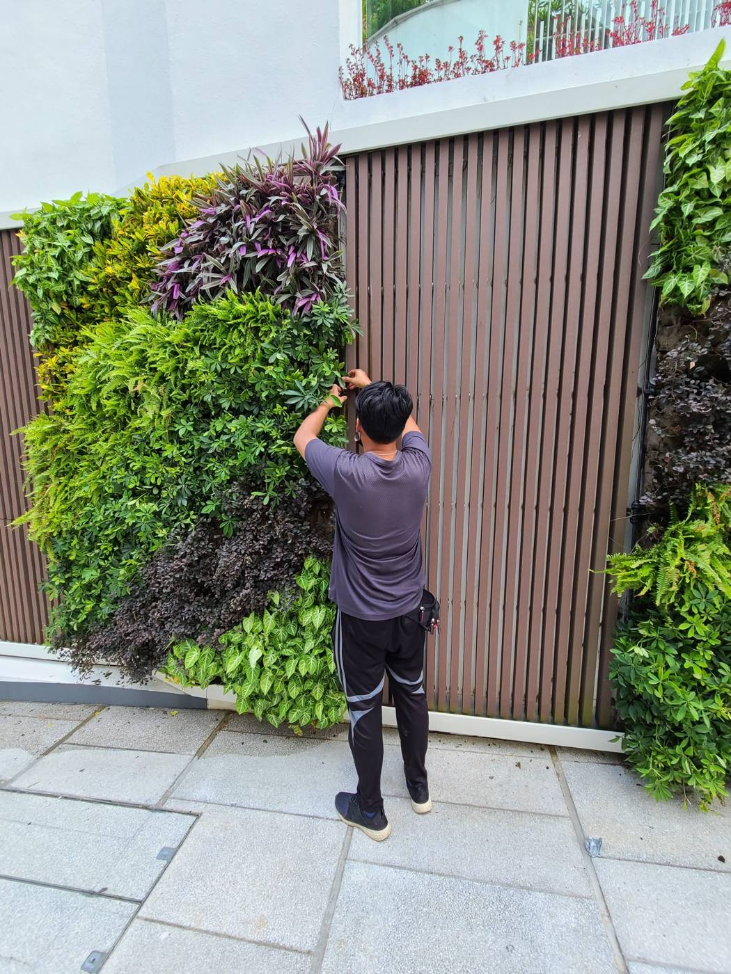 工作人員更換植物