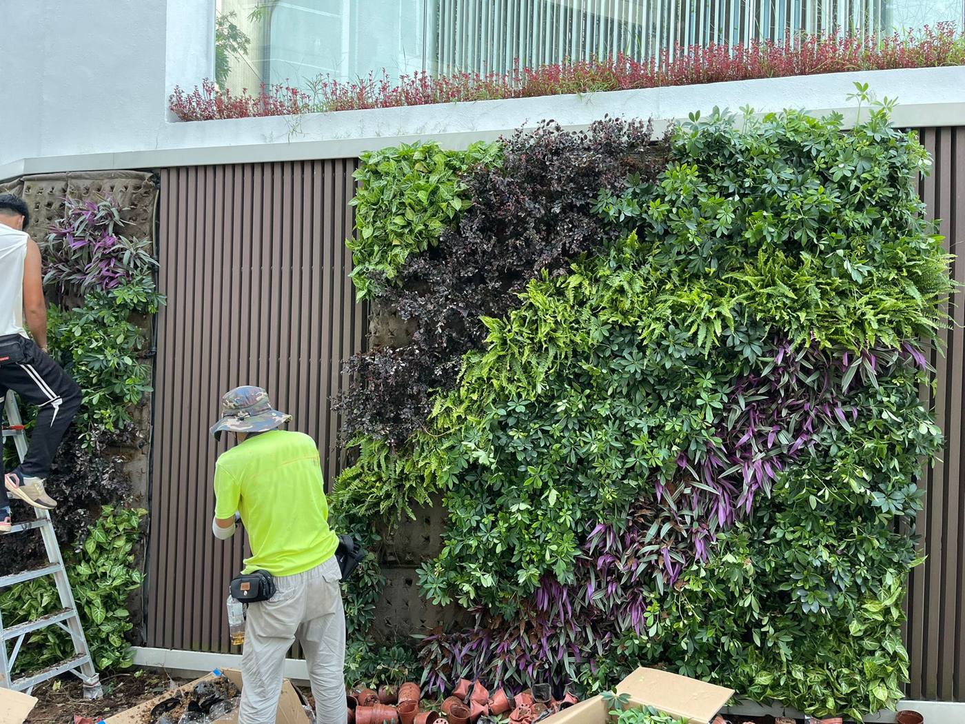 西貢區植物牆更換