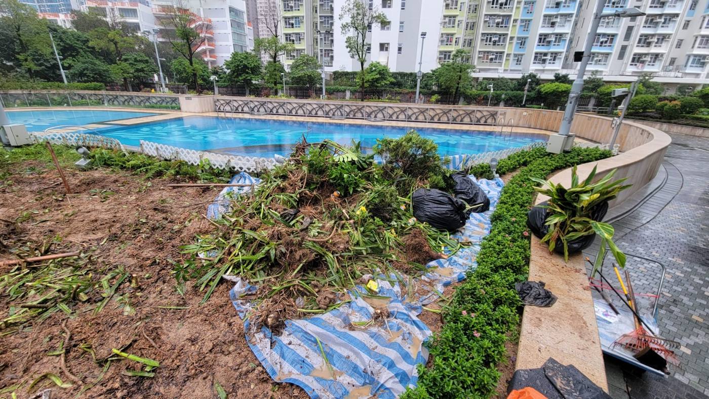 泳池旁花槽清理植物